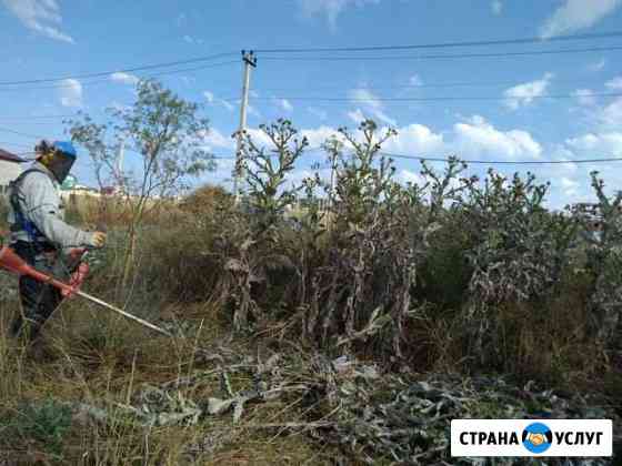 Покос травы. Расчистка участка, Вывоз мусора Анапа