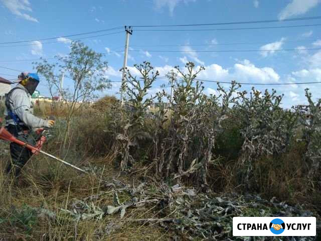 Покос травы. Расчистка участка, Вывоз мусора Анапа - изображение 1