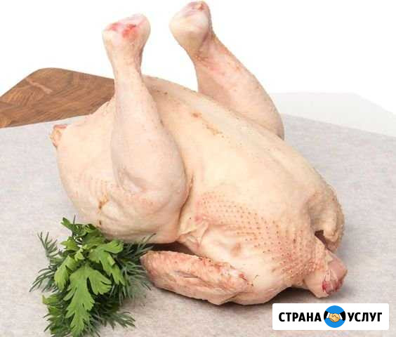 Домашнее мясо кур Красноярск - изображение 1
