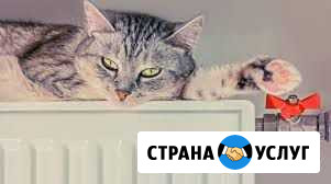 Отопление, водопровод Ртищево - изображение 1