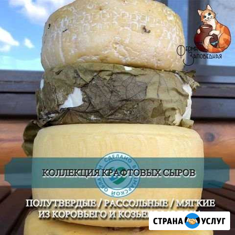 Домашний сыр в Самаре Самара - изображение 1