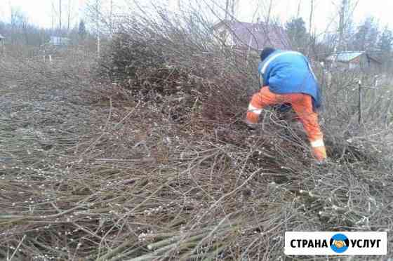 Продам дом на улице Якунинской в Зашекснинском районе в городе Череповце 114.0 м² на участке 8.0 сот этажей 2 4650000 руб база Всн ру объявление 59083104