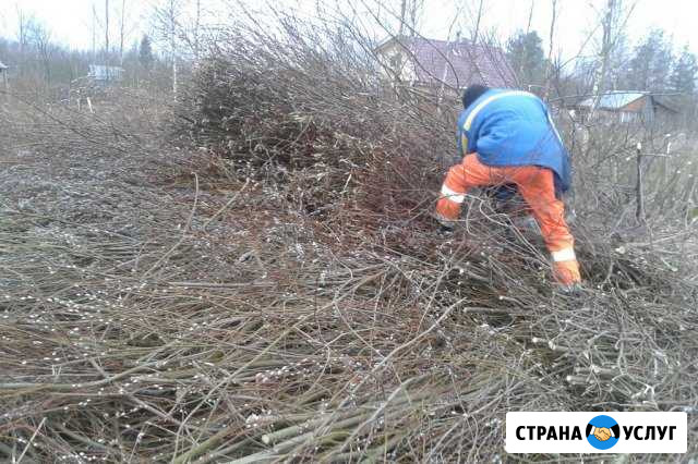 Уборка участков Череповец - изображение 1