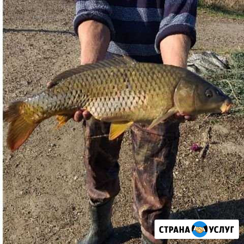 Рыбалка село александровское Александровское - изображение 1