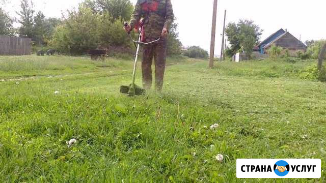 Покос травы Триммером хускварна Грязи - изображение 1