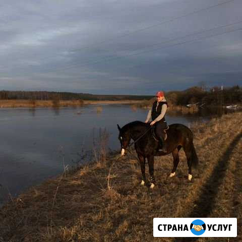Занятия по верховой езде, конные прогулки Суздаль - изображение 1
