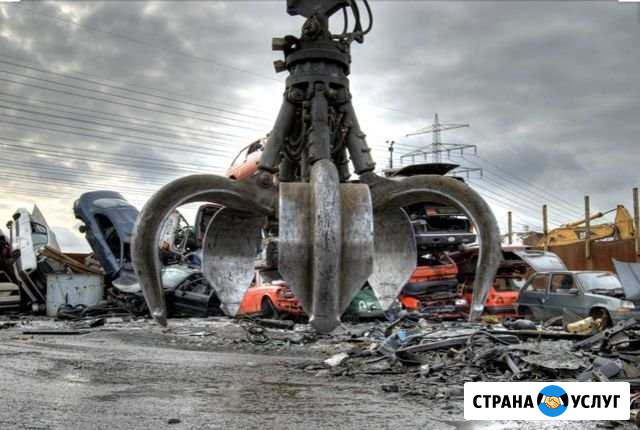 Прием метала,пластика Москва - изображение 1