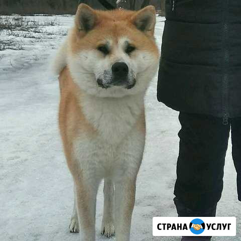 Вязка Волжский Волгоградской области - изображение 1