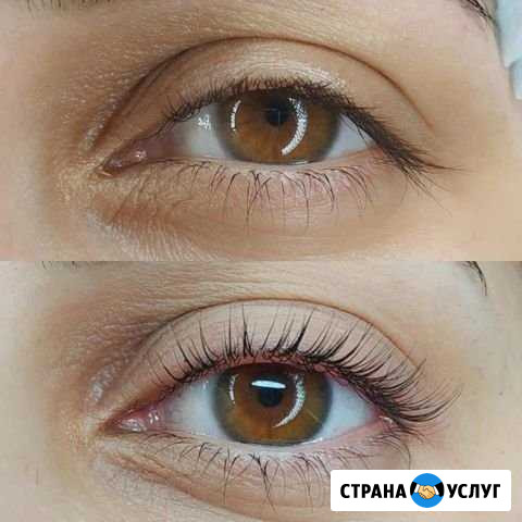 Velvet+botox 6D ресниц Вологда - изображение 1