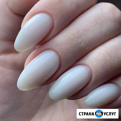 Шеллак Махачкала - изображение 1