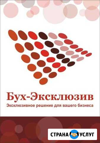 Ведение вашей Бухгалтерии. 2 месяца в подарок Казань - изображение 1