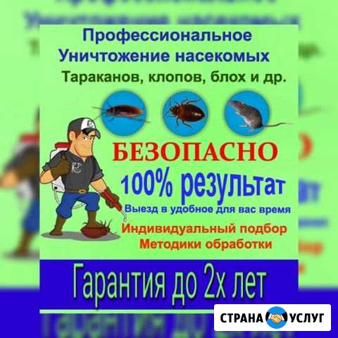 Травим тараканов, клапов, клещей, мышей Ростов-на-Дону - изображение 1
