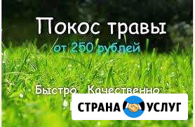 Покос травы Калязин - изображение 1