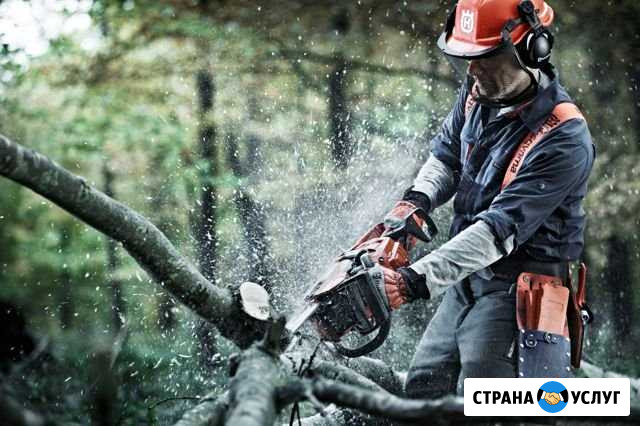Покос травы, демонтаж Крымск - изображение 1