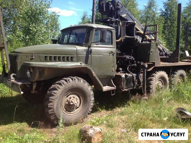 Услуги Лесовоза с гидроманипулятором Курлово - изображение 1