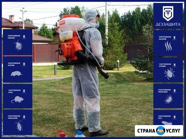 Дезинфекция от клещей Москва - изображение 1