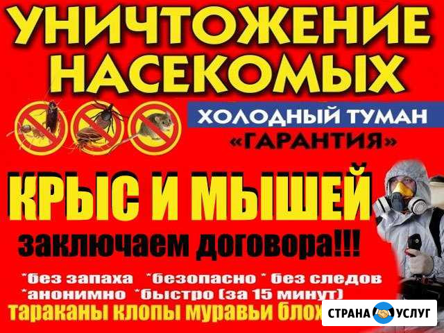 Уничтожение клопов, тараканов, муравьёв, клещей Красноярск - изображение 1