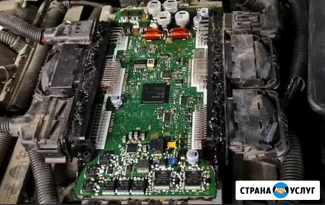 MSV90 Бмв без катализатора и лямбда зонда F серия Вологда - изображение 1