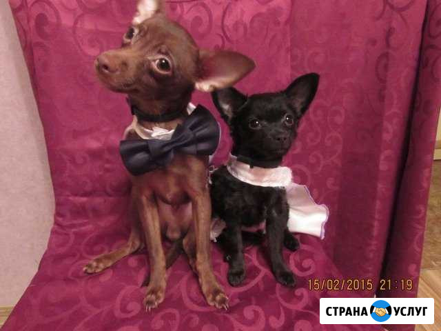 Приглашаем на вязку Миасс - изображение 1