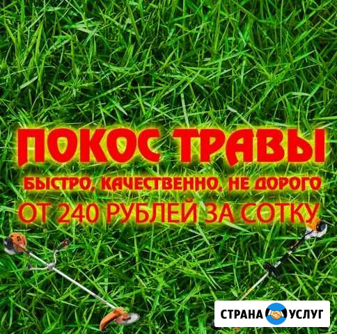 Покос травы Чистополь - изображение 1