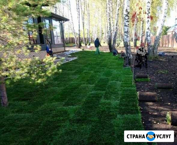 Вспашка земли, участка. Устройство газона. Ногинск Ногинск - изображение 1