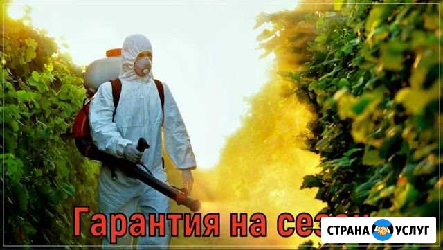 Обработка участка от клещей, кротов, борщевика, ос Зарайск - изображение 1