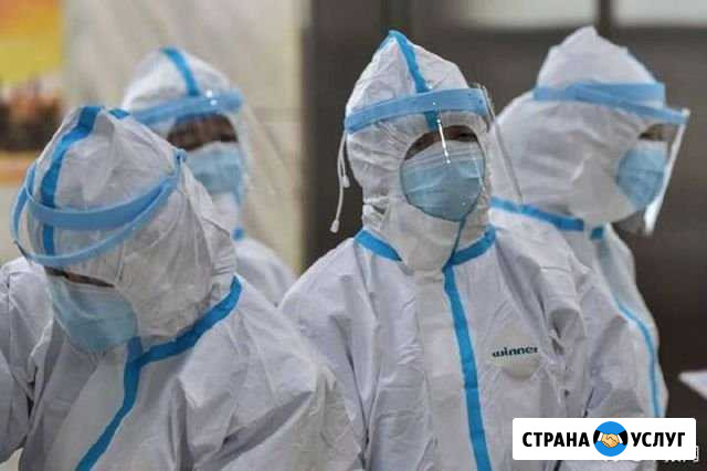 Уничтожаем тараканов клопов.Дезинфекция вируусов Ставрополь - изображение 1