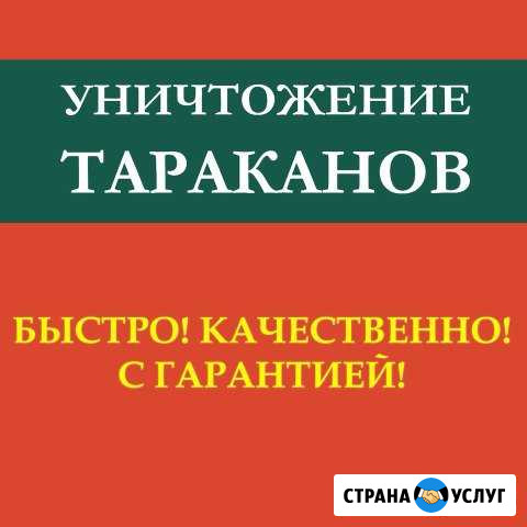 Генеральная уборка Кызыл - изображение 1