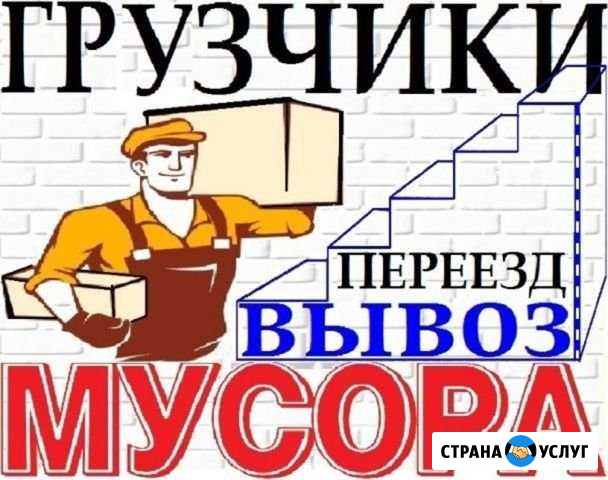 Вывоз мусора,веток,старой мебели Краснодар - изображение 1