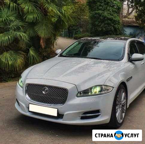 Прокат (аренда) Jaguar XJ с водителем Новороссийск - изображение 1