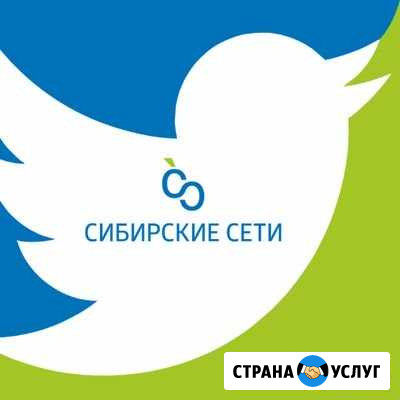 Подключение Высокоскоростного Интернета Рубцовск - изображение 1