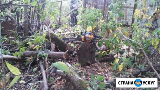 Спил деревьев, корчёвка, чистка, опиловка участков Клин - изображение 1