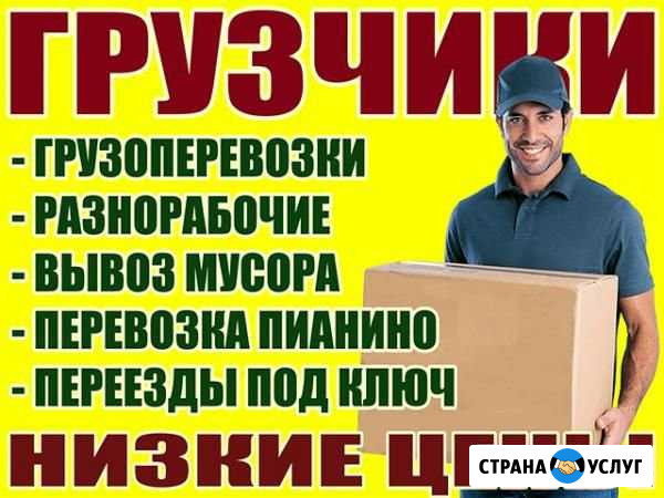 Грузчики/Переезды Новосибирск - изображение 1