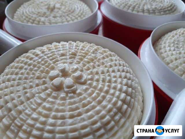 Научу варить адыгейский сыр Набережные Челны - изображение 1