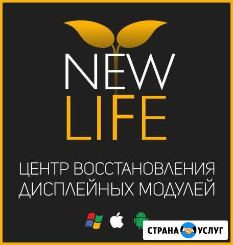 Ремонт сотовых телефонов Красноярск - изображение 1