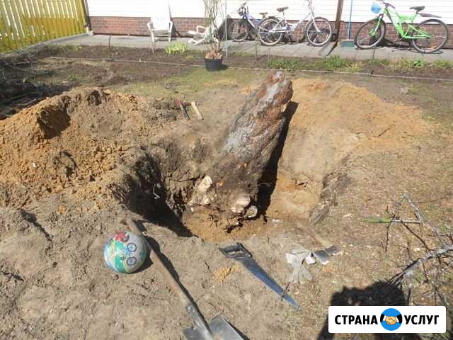 Корчевание пней Ярославль - изображение 1