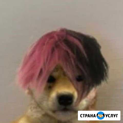 Слушатель, друг на час Балтийск - изображение 1