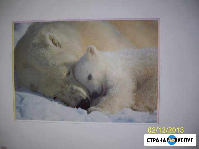 Обои, плинтус (багет) Брянск - изображение 1