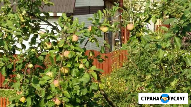 Благоустройство,тротуарная плитка ремонт Сертолово - изображение 1