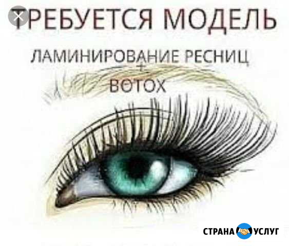 Реснички Подольск - изображение 1