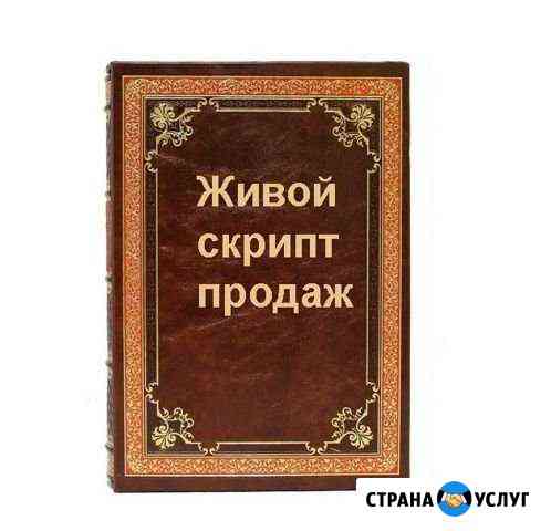 Скрипты продаж. Аудит и обучение отдела продаж Новосибирск