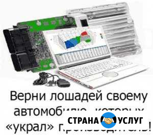 Прошиваем эбу, офф представитель Paulus chip Саратов - изображение 1