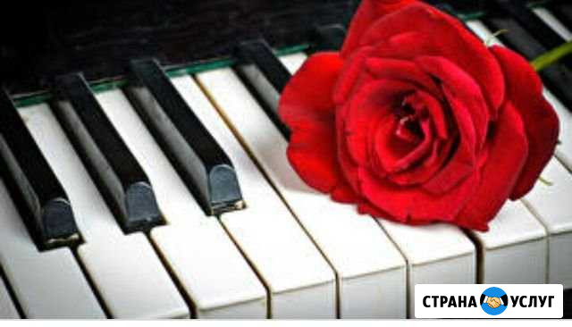 Репетитор по фортепиано и сольфеджио Уфа - изображение 1
