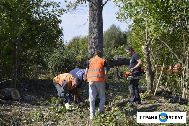 Расчистка Участков, Демонтаж хоз построек Белгород - изображение 1