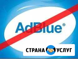 Отключение Adblue (мочевины), EGR, tuning Иркутск - изображение 1