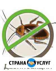 Уничтожение тараканов клопов муравьев блох Новосибирск