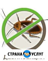 Уничтожение тараканов клопов муравьев блох Новосибирск - изображение 1