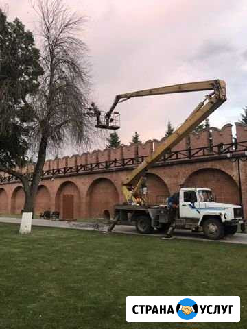 Удаление и обрезка деревьев с автовышки Тула - изображение 1