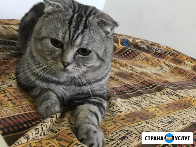 Вязка Киров - изображение 1