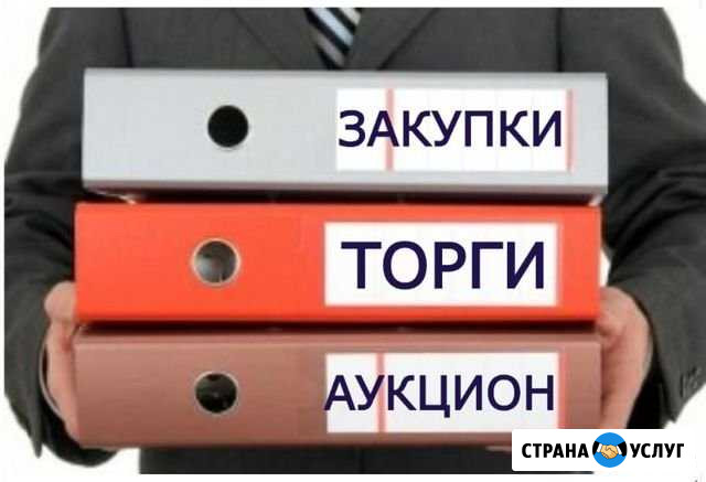 Тендерные специалисты (все виды торгов) Талинка - изображение 1